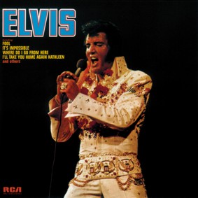 Elvis (Fool) - cover